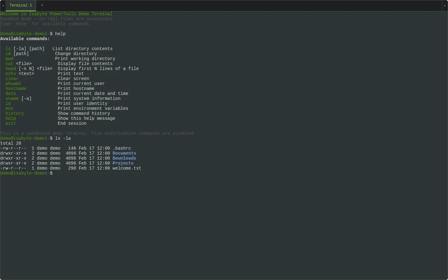 A full terminal emulator in the browser — Desktop
